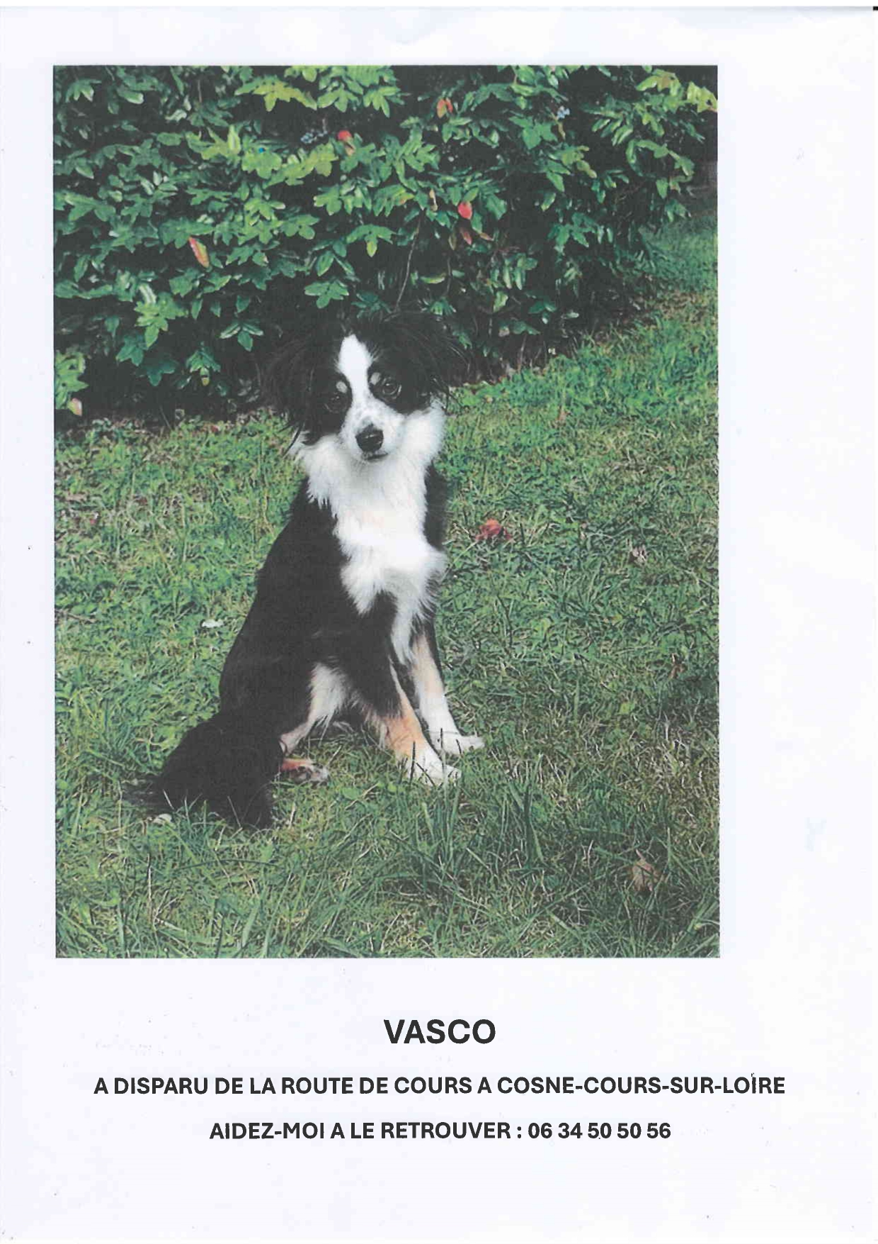 Vasco1